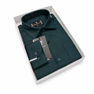 Green  color solid shirt